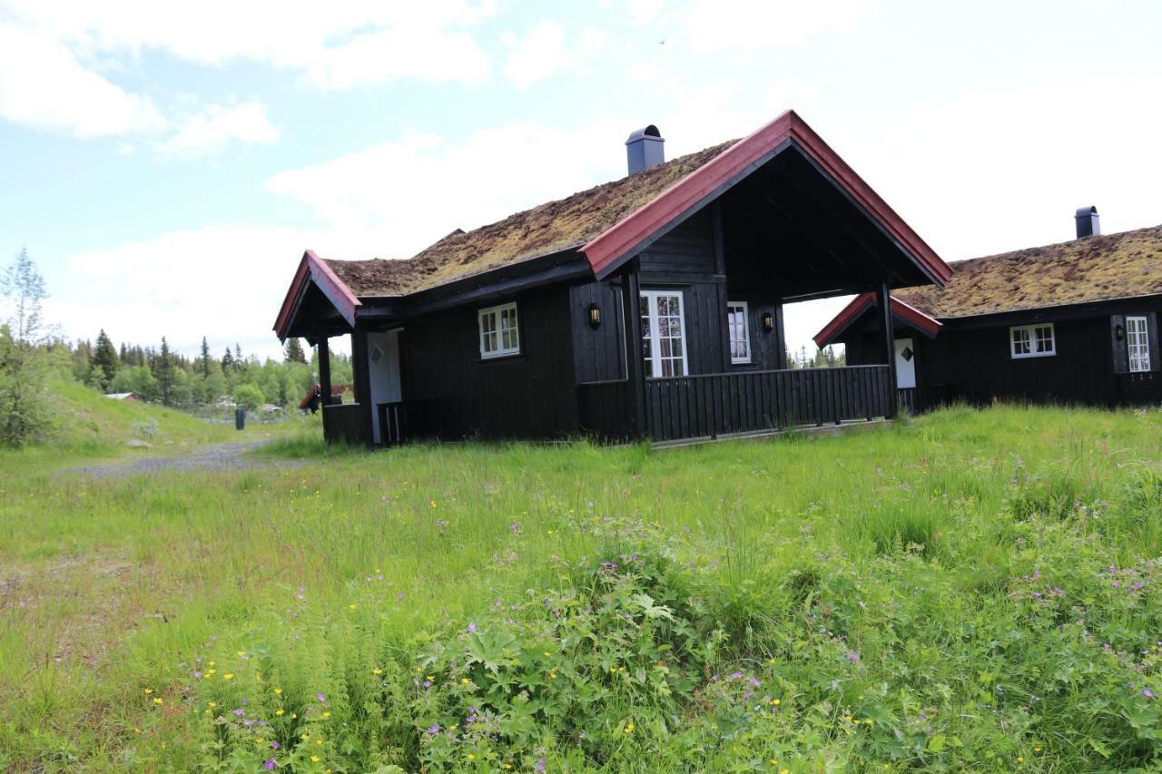 Gamlestolen Fjellstue Villa Etnedal Dış mekan fotoğraf