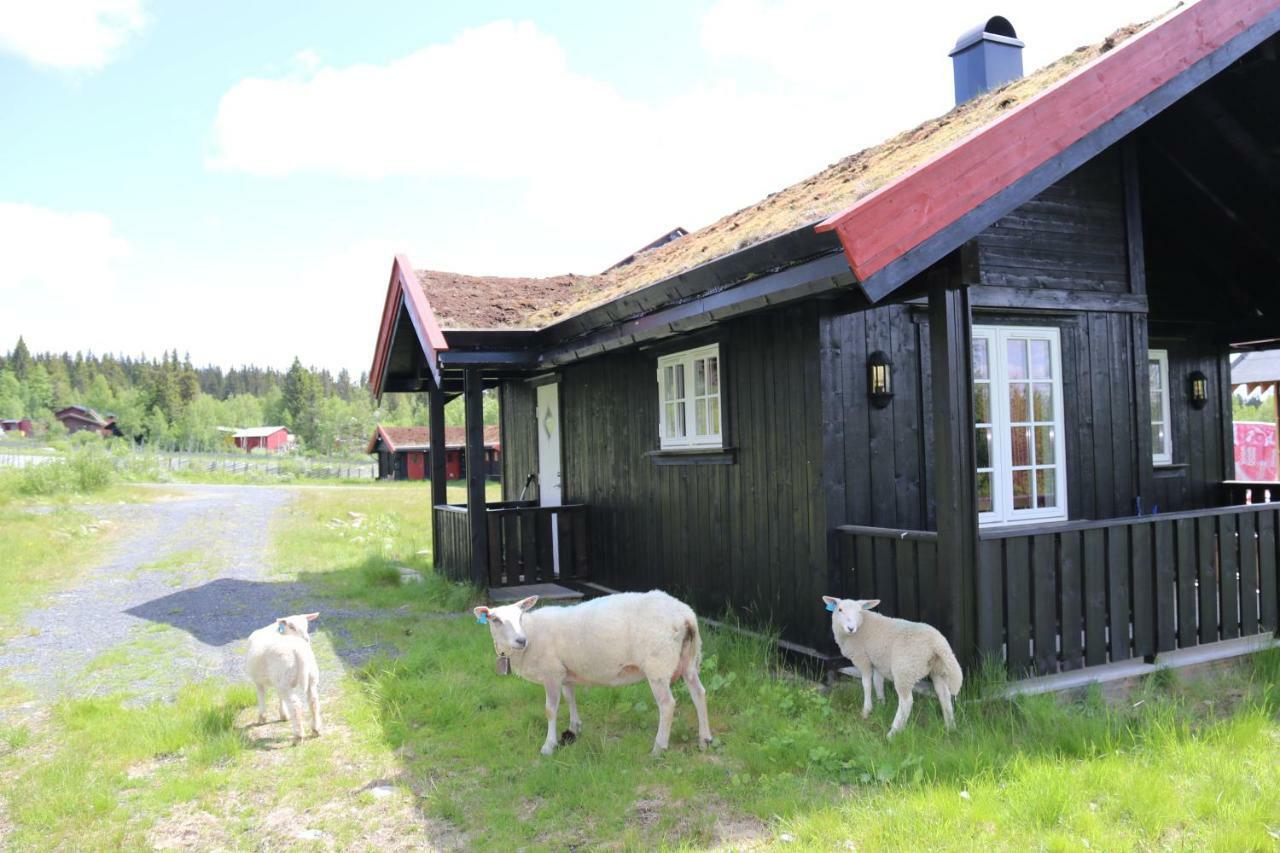 Gamlestolen Fjellstue Villa Etnedal Dış mekan fotoğraf